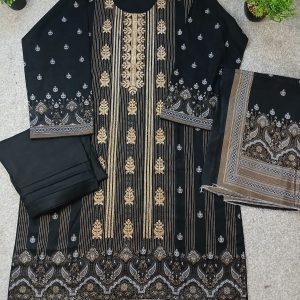 Embroided 3piece winter dress