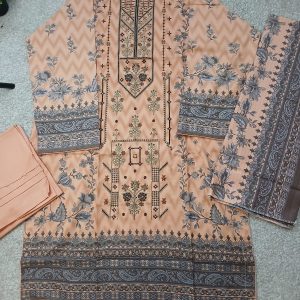 Elegant Embroided 3 pcs winter dress